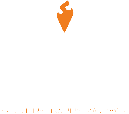 Vivac — Consulting, Training, Manpower